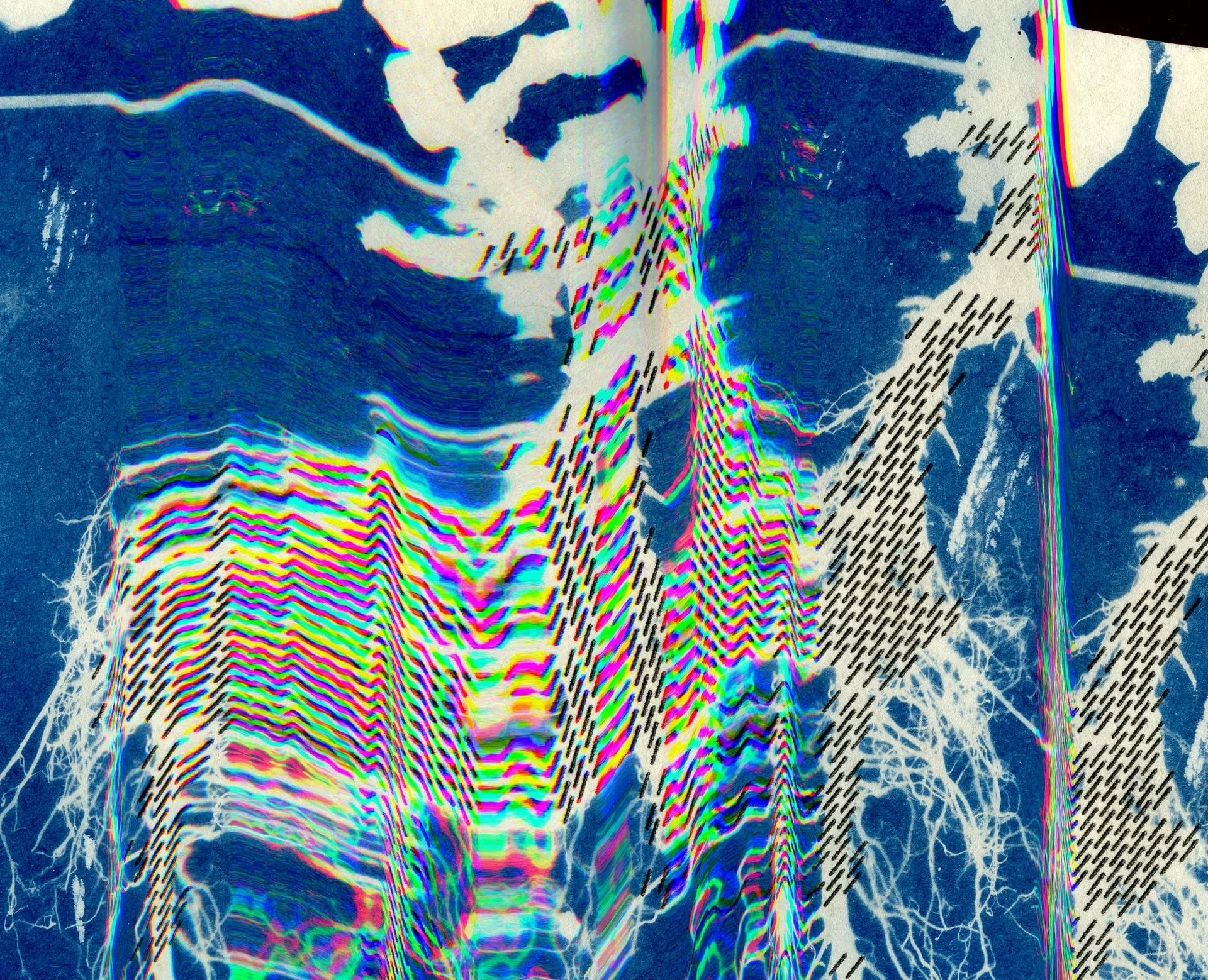 Spectrum of Root Life
